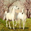 Spring Park Unicorns 5D Diamond Painting Kit