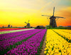 Dutch Windmills 5D Diamond Painting Kit